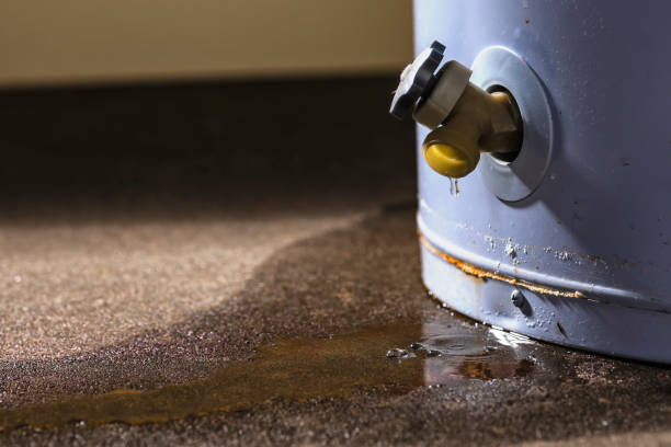 Best Basement water damage restoration  in Lemont Furnace, PA