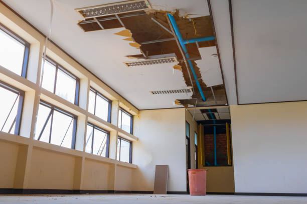 Best Water damage restoration specialists  in Lemont Furnace, PA