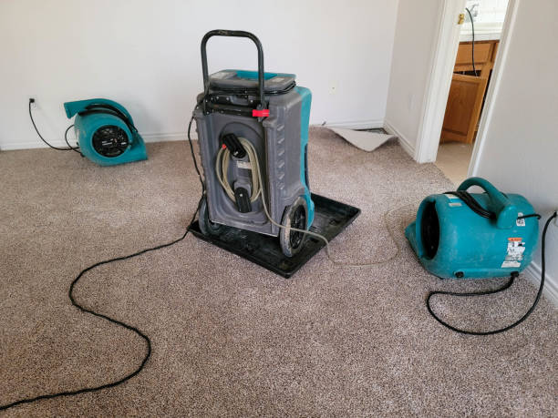 Best Emergency water damage restoration  in Lemont Furnace, PA
