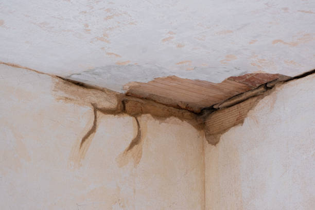 Best Residential water damage restoration  in Lemont Furnace, PA