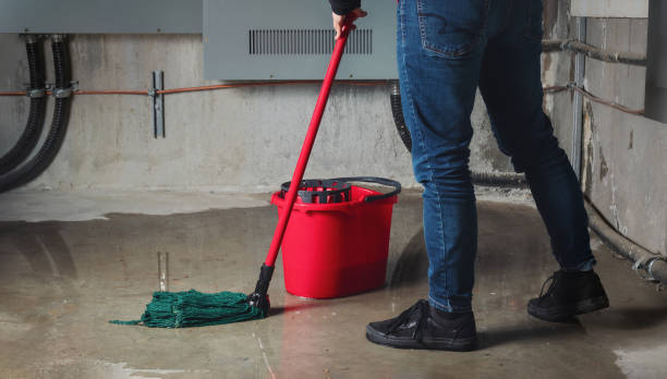 Best Flood damage cleanup  in Lemont Furnace, PA