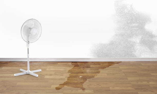 Best 24/7 water damage repair  in Lemont Furnace, PA