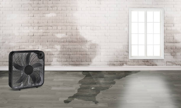 Best Water damage restoration near me  in Lemont Furnace, PA