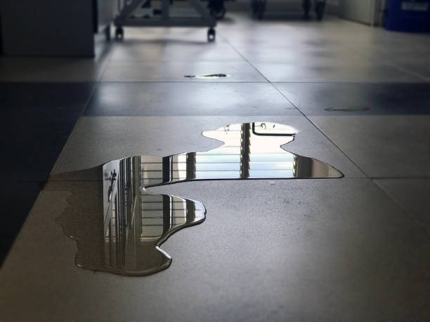 Best 24/7 water damage repair  in Lemont Furnace, PA