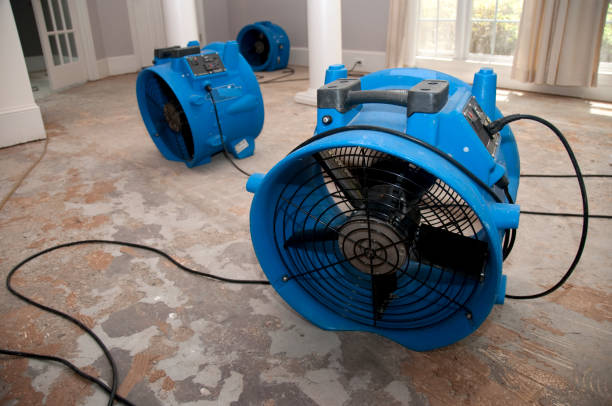 Best Water damage restoration services  in Lemont Furnace, PA