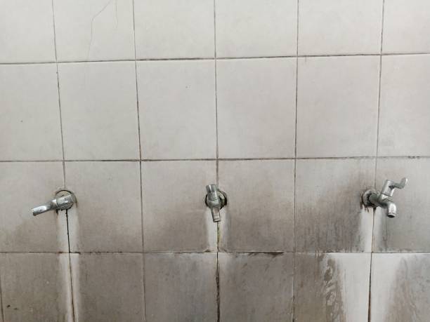 Best Carpet water damage restoration  in Lemont Furnace, PA