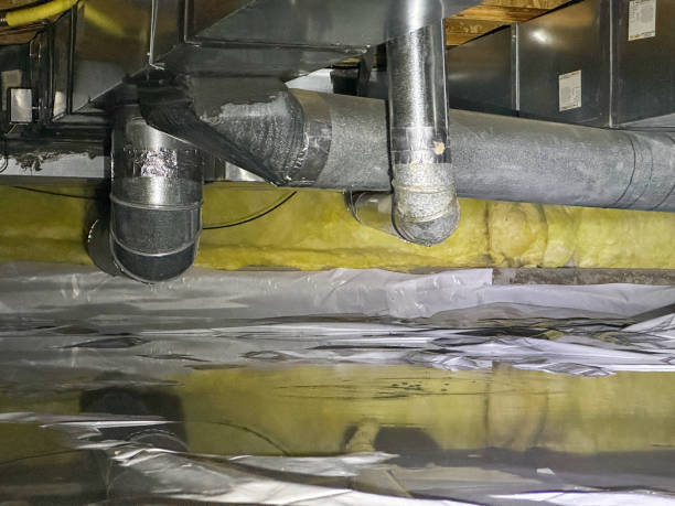 Best Water damage contractors near me  in Lemont Furnace, PA