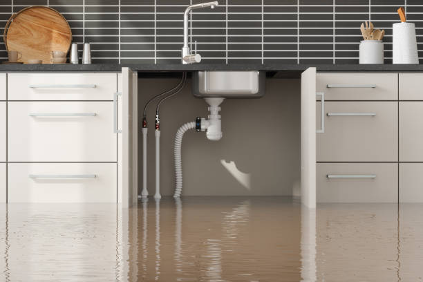 Best 24/7 water damage repair  in Lemont Furnace, PA