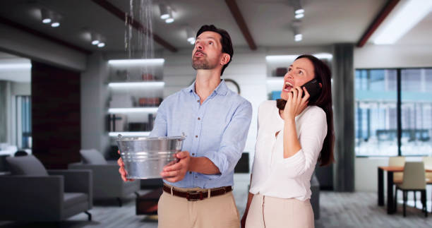 Best Flood restoration services  in Lemont Furnace, PA