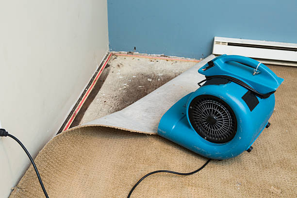 Lemont Furnace, PA Water damage restoration Company