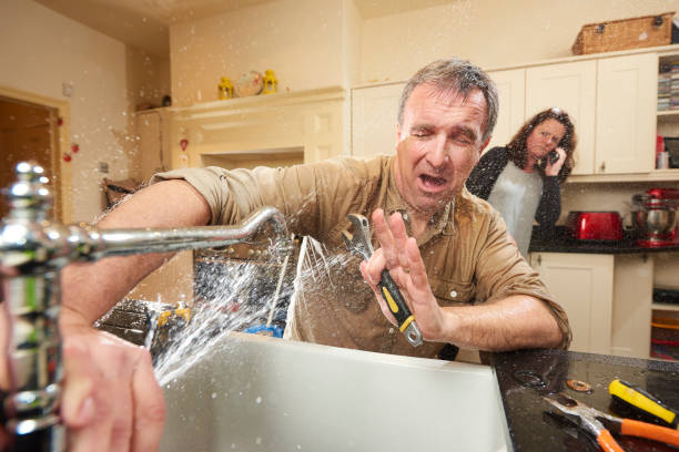 Best Water damage restoration mold remediation  in Lemont Furnace, PA